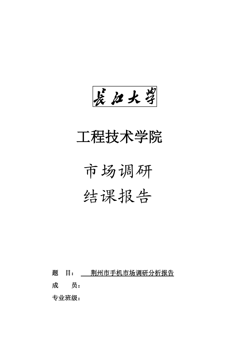 关于荆州市手机市场调研报告.docx_第1页