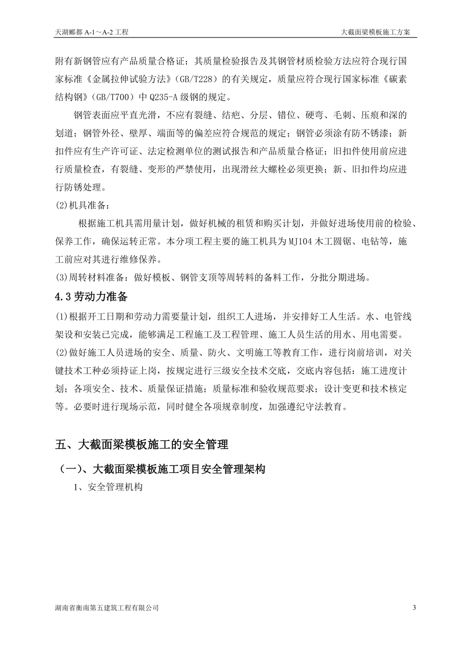 大截面梁模板施工方案(通过专家论证).docx_第3页