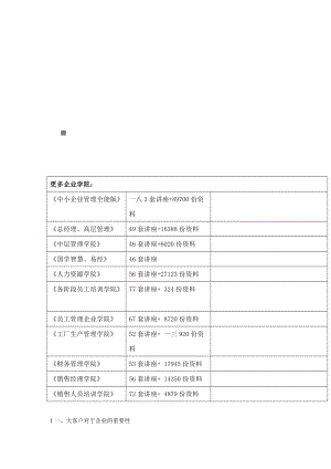 大客户营销策略与服务管理.docx