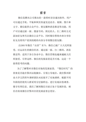 微信调研报告书.docx