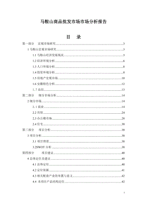 i马鞍山商品批发市场市场分析报告.docx