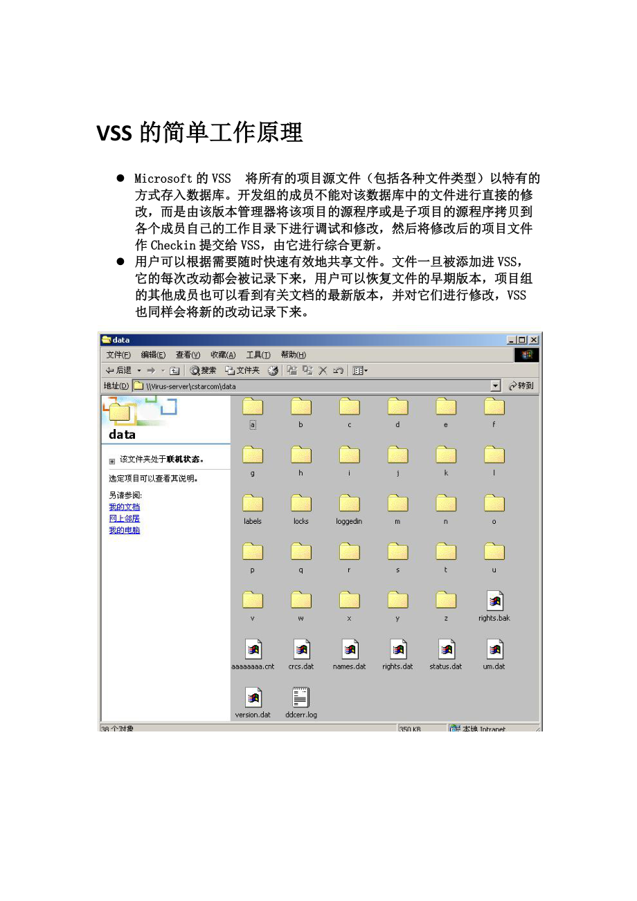 VSS2005客户端操作手册.docx_第1页