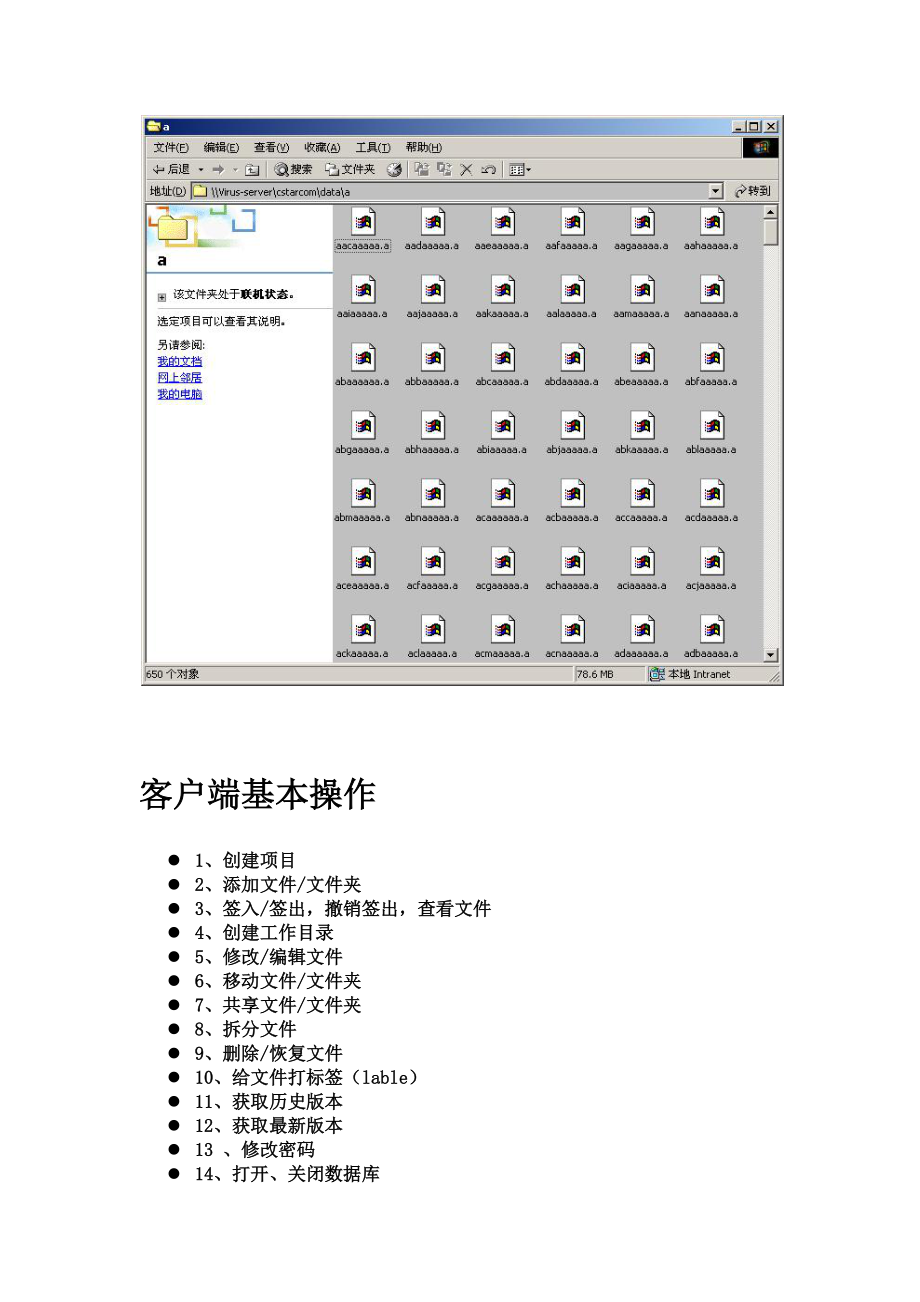 VSS2005客户端操作手册.docx_第2页