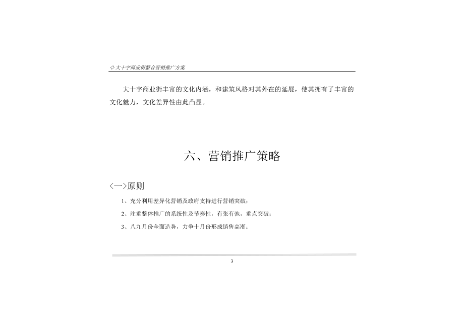 大十子商业街行销(下).docx_第3页