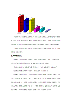 大红鹰品牌营销方案研讨.docx