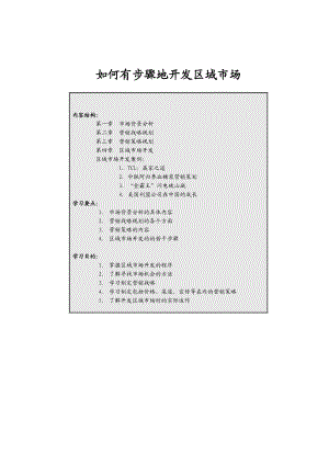 区域市场开发分析过程.docx