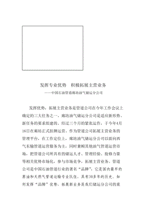 发挥专业优势从而积极拓展主营业务.docx