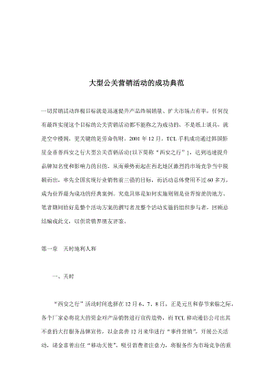 大型公关营销活动的成功案例分析.docx