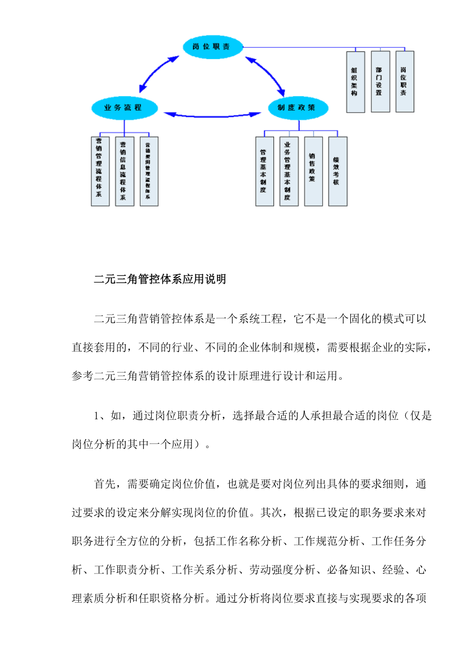 二元三角营销管控体系.docx_第3页