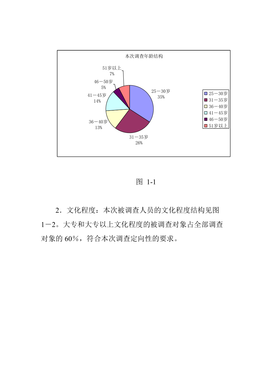 广告投放市场效果评估报告.docx_第2页