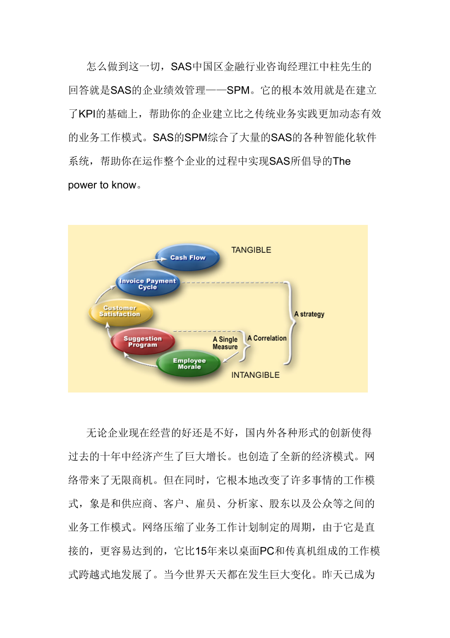 SAS SPM企业绩效管理解决方案.docx_第2页