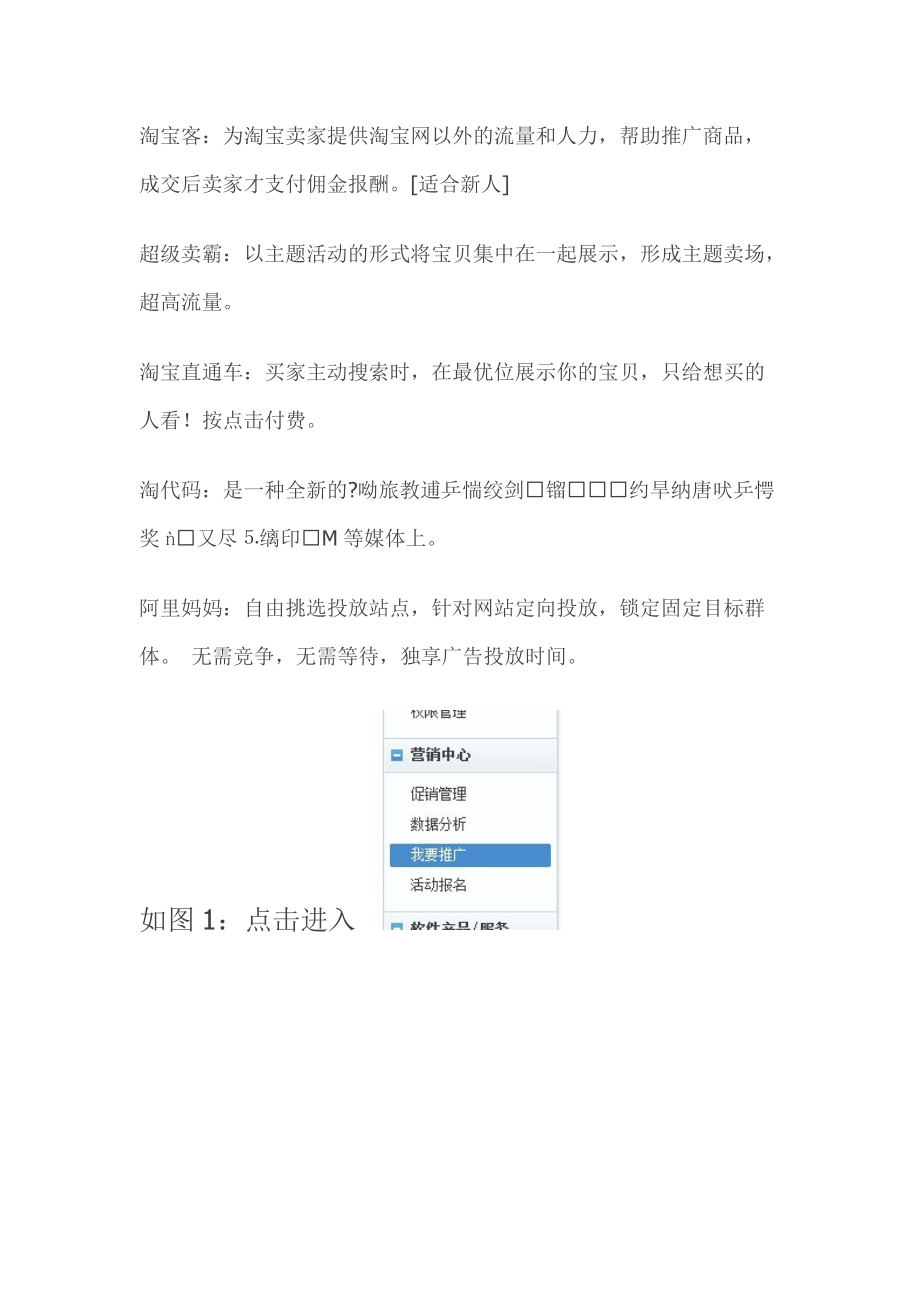 如何有效推广店铺及使用各种促销工具.docx_第2页