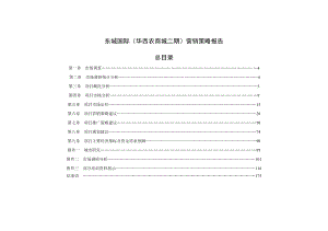 东城国际(华西农商城二期)营销策略报告.docx