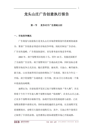 广告创意执行报告.docx