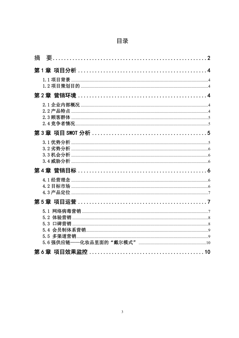 DHC企业网络营销方案设计.docx_第3页