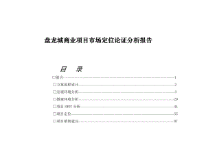 某商业项目市场定位论证与分析报告.docx