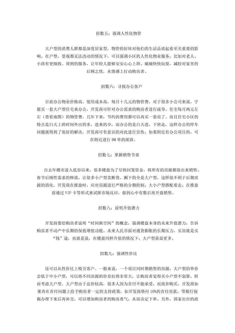 大户型营销策略.docx_第2页