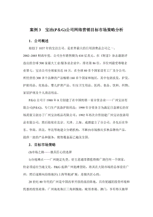 宝洁公司网络营销策略分析.docx