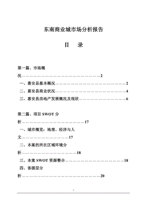 东南商业城市场分析报告.docx