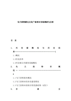 某文化广场项目市场调查分析.docx