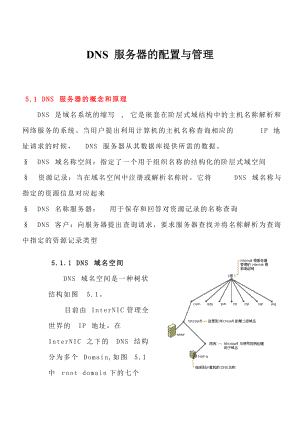 DNS 服务器的配置与管理.docx