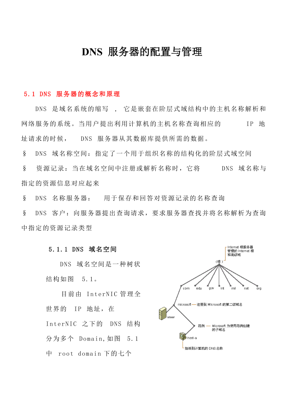 DNS 服务器的配置与管理.docx_第1页