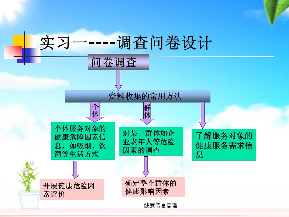 健康信息管理课件.ppt_第3页