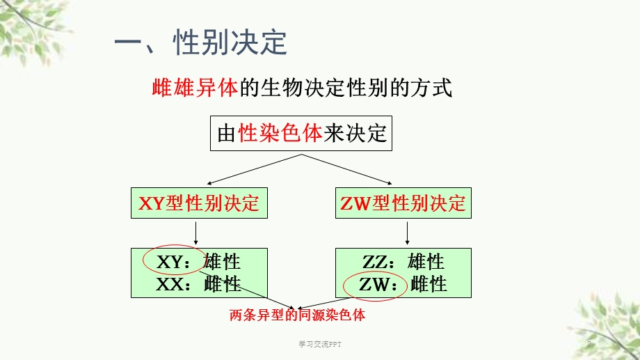 伴性遗传和人类遗传病ppt课件.ppt_第2页