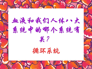 人体八大系统——循环系统课件.ppt