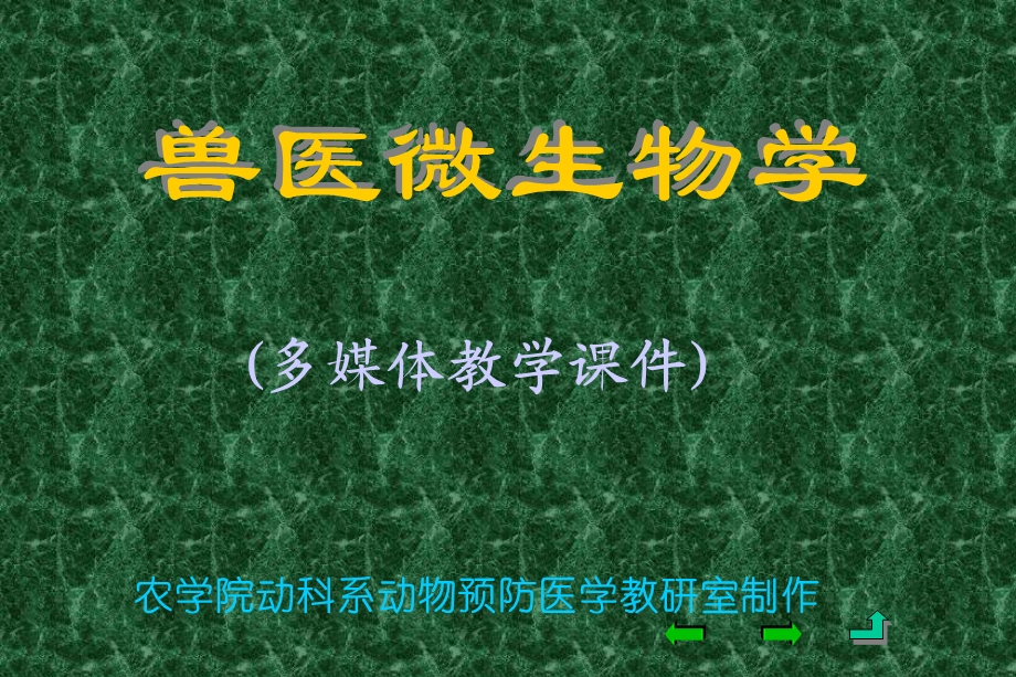 兽医微生物学细菌的分类与命名课件.ppt_第2页