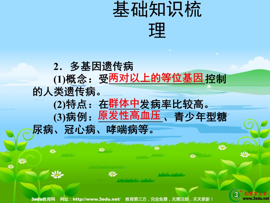 高一生物必修二优化复习ppt课件.ppt_第3页