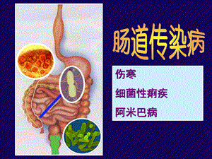 传染病、流脑、乙脑课件.ppt