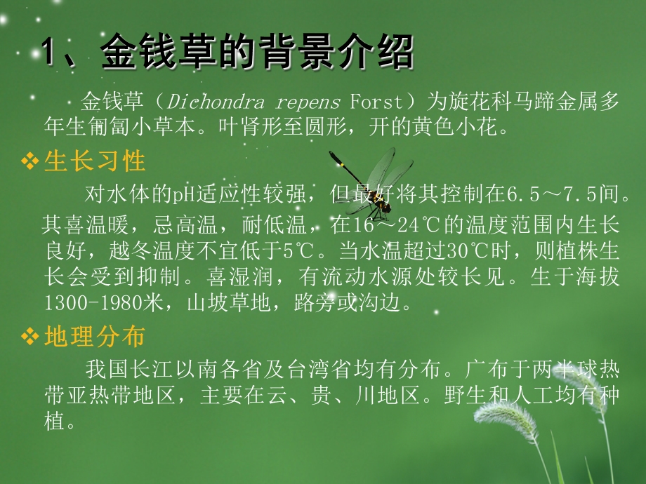 金钱草种植可行性方案课件.ppt_第3页