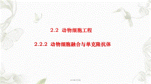 动物细胞融合与单克隆抗体课件.ppt