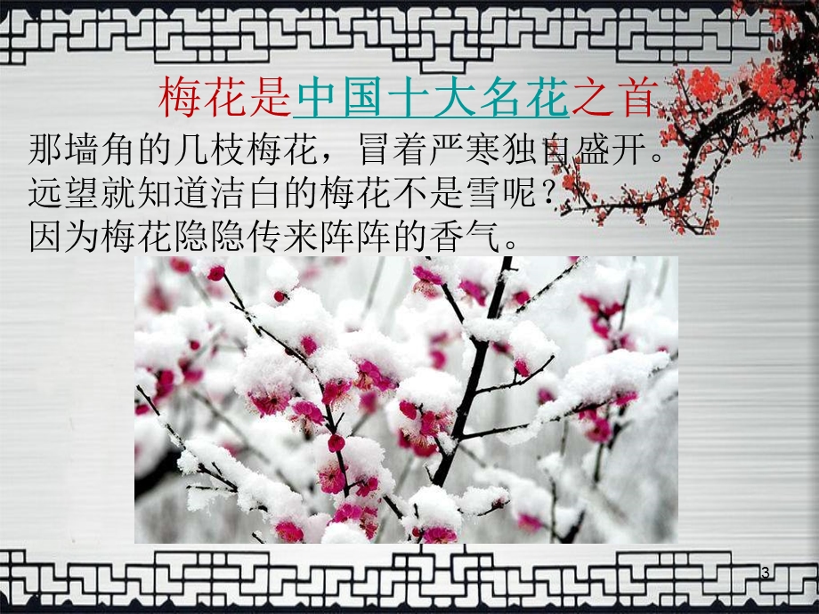 儿童国画梅花教学课件.ppt_第3页