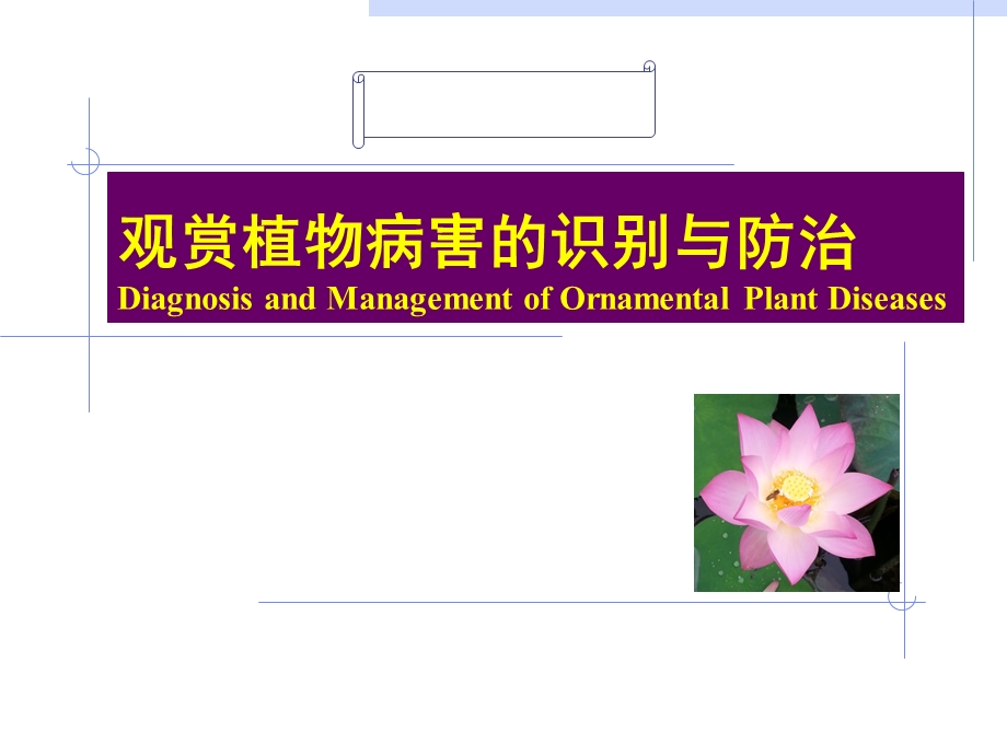 一植物病害的概念课件.ppt