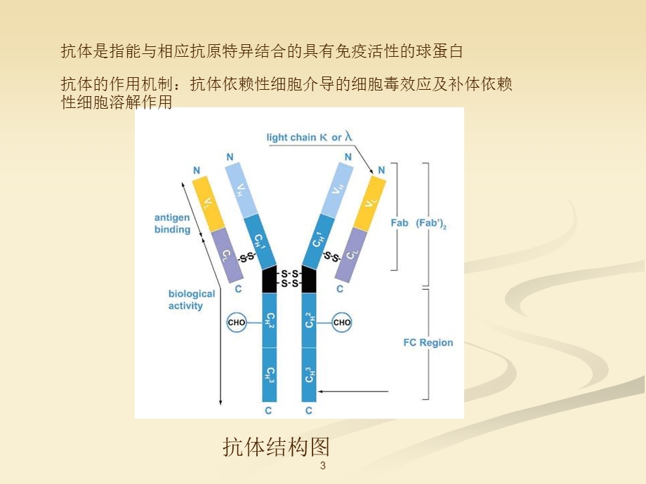 单克隆抗体基础知识课件.ppt_第3页