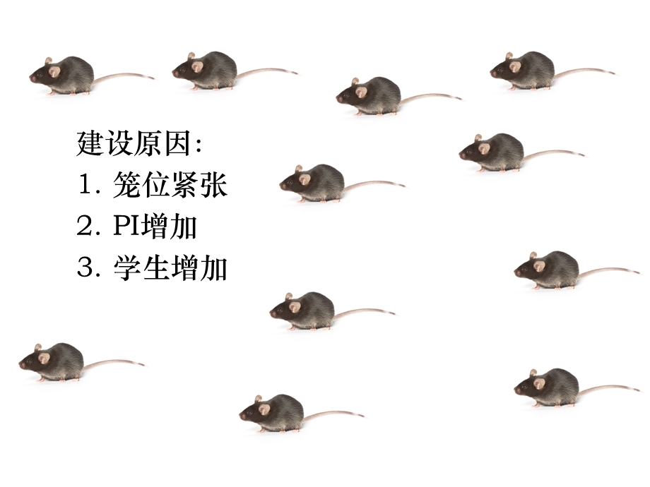 动物试验人员上岗培训课件.ppt_第2页