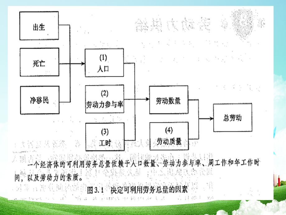 劳动力供给分析课件.ppt_第3页