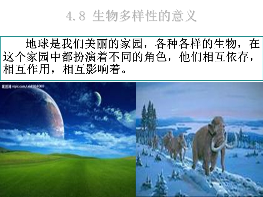 六年级科学上册生物多样性的意义课件.ppt_第2页