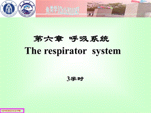 鱼类生理学第六章呼吸系统3学时课件.ppt