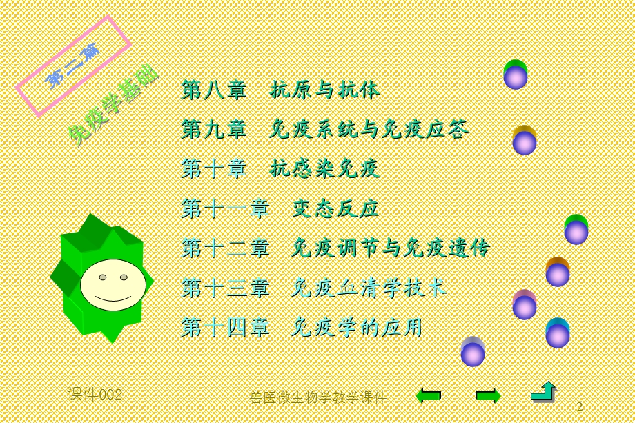 兽医微生物学变态反应课件.ppt_第2页