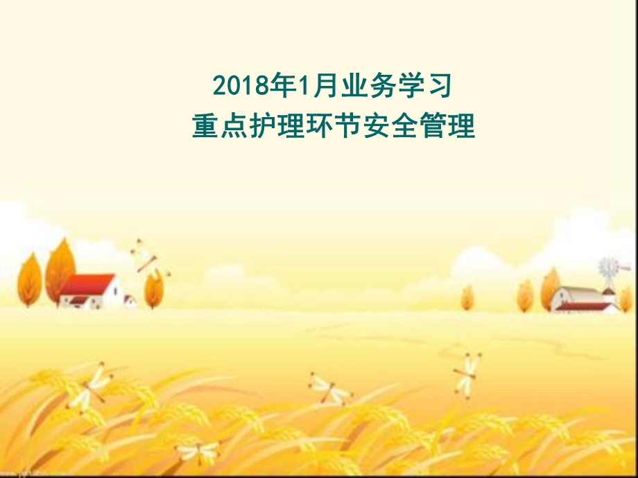 重点护理环节细节管理课件.ppt_第1页