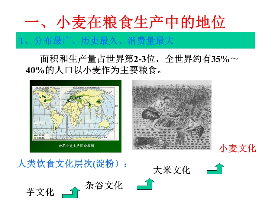 国内外小麦产业课件.ppt_第3页