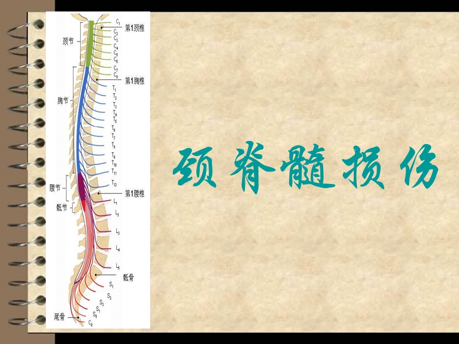 颈脊髓损伤教材课件.ppt_第1页