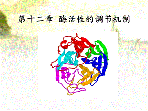 酶活性的调节机制 课件.ppt