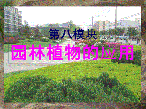 园林植物的应用课件.ppt