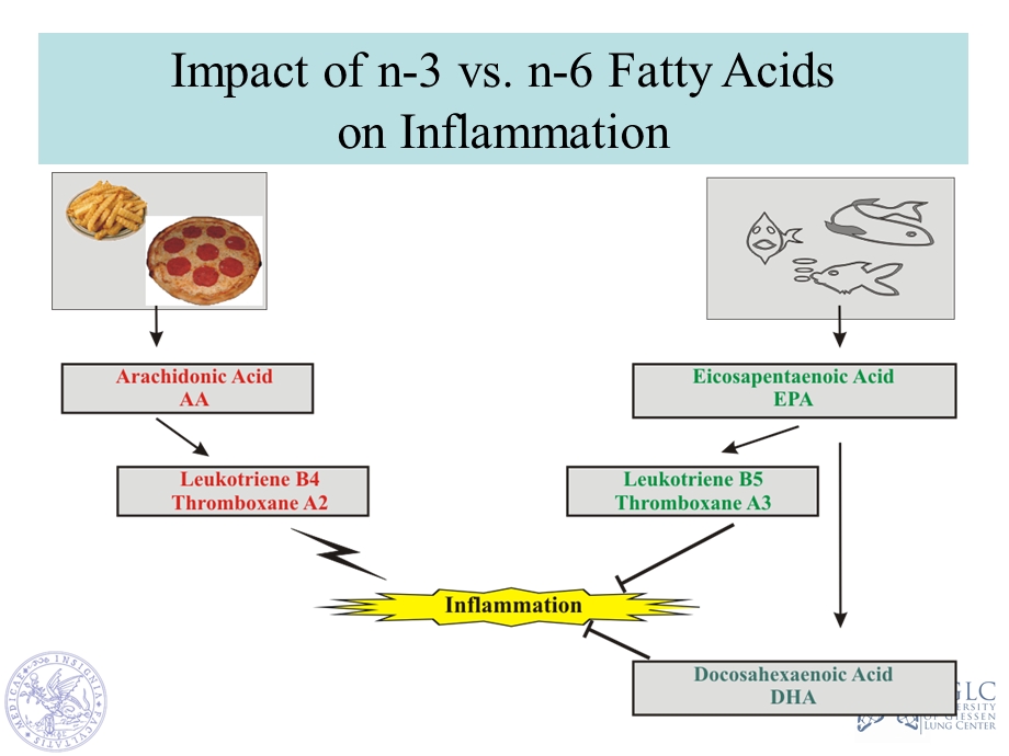 N3脂肪酸在急重症的应用课件.ppt_第3页