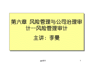 风险管理审计课件.ppt