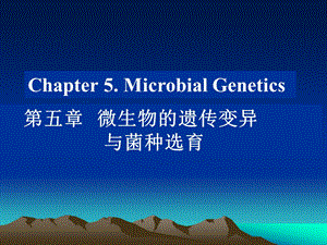 食品微生物学(第五章微生物的遗传变异与菌种选11育)课件.ppt